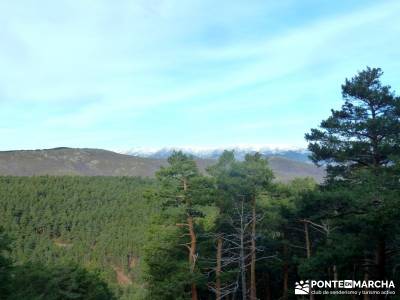 Sestil de Maillo - Mojonavalle; viajes y excursiones; trekking semana santa;senderos cuenca